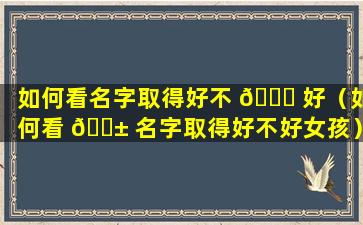 如何看名字取得好不 🐘 好（如何看 🐱 名字取得好不好女孩）